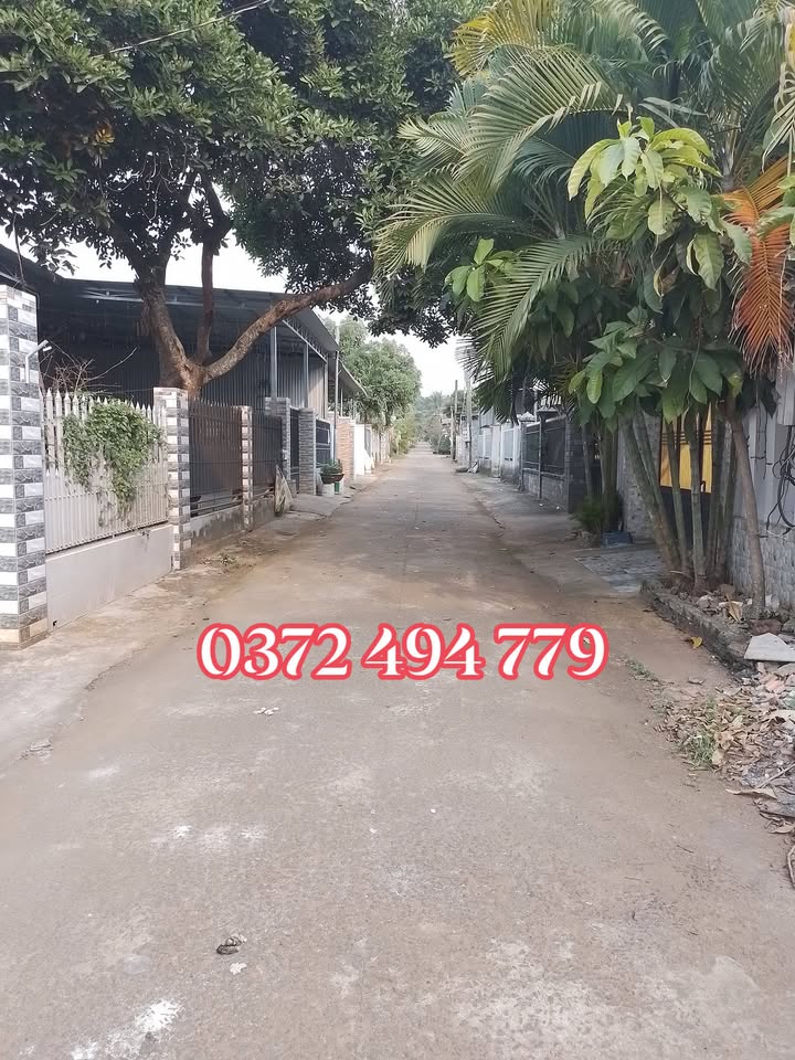 Đất nền Túc Trưng, Định Quán 207m² - Sổ đỏ chính chủ, đường ô tô!