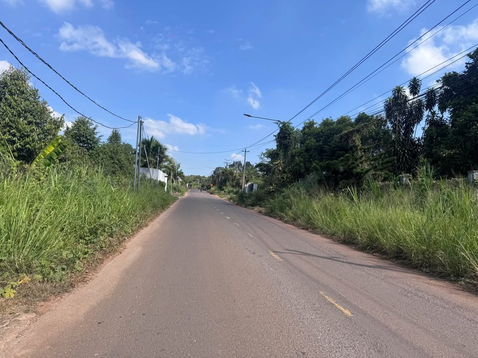 Đất Vườn Sầu Riêng 3600m² Mặt Tiền Xuân Lập, Long Khánh - Sổ Sẵn