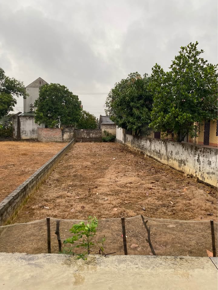 Đất nền Ninh Phúc, TP Ninh Bình 145m² - Đất thổ cư 100%!