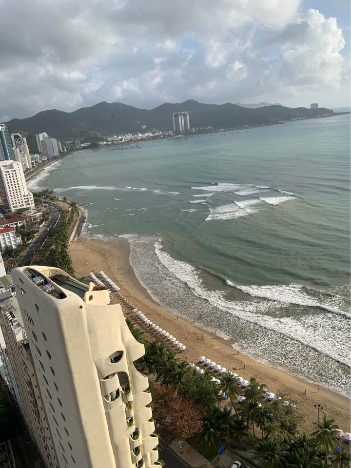 Cho thuê căn hộ Mường Thanh Viễn Triều 71m² - View biển tầng 29, chỉ 8 triệu/tháng