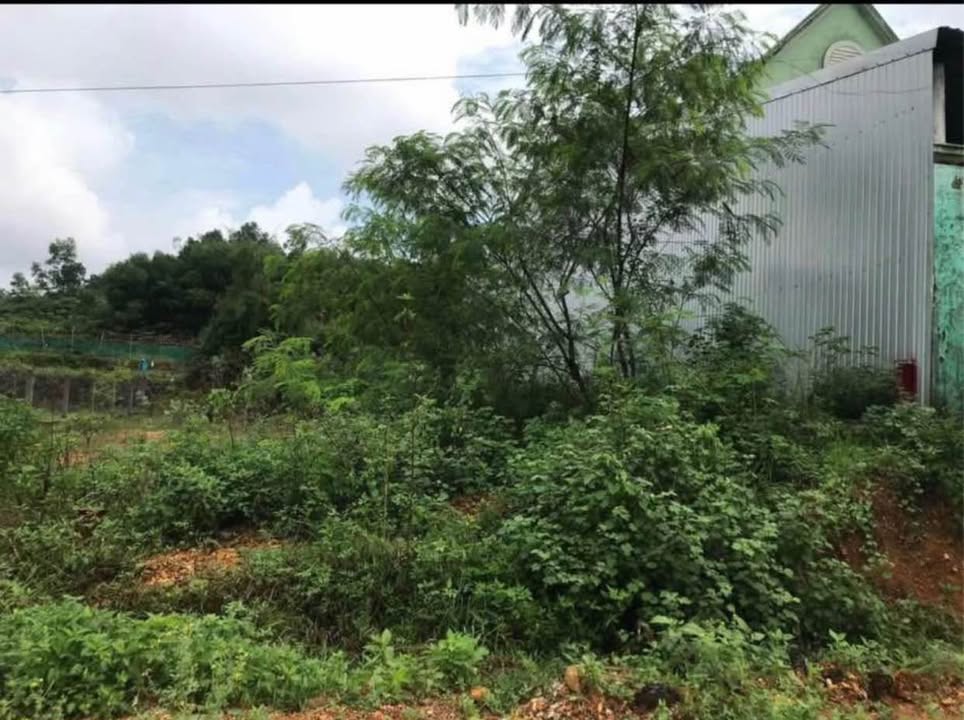 Đất nền mặt tiền Trưng Nữ Vương, Huế 155.8m² - Tiềm năng tăng giá!