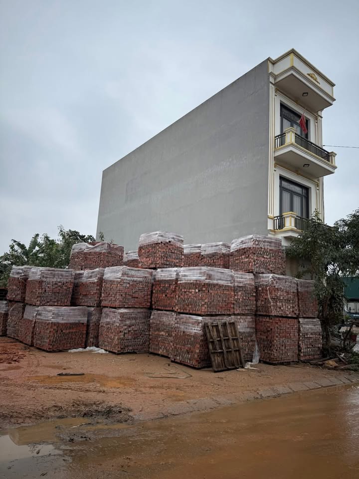 Bán đất 81m² Lục Nam, Bắc Giang - Sổ đỏ sẵn, giá 1.5 tỷ