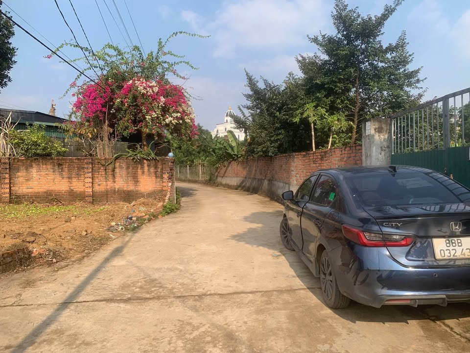 Đất Nền Việt Trì 76m² - Hướng Đông Nam, Giá F0 CĐT