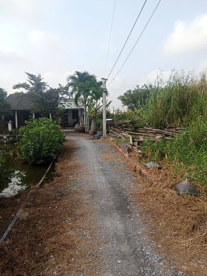 Đất nền Cần Giuộc 90m² 750 triệu - Sổ đỏ chính chủ!