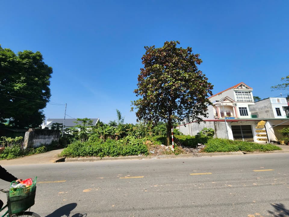 Đất nền Lâm Thao 100m² Tỉnh lộ 325b - Sổ đỏ chính chủ, Tiềm năng tăng giá