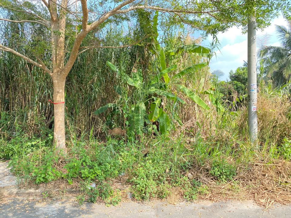 Đất Nền Tây Đô Ecopark, Cần Thơ - 95m² Sổ Hồng Thổ Cư, Giá Tốt