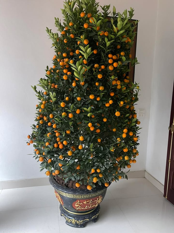 Đất nền Hạp Lĩnh 87m² - Tiềm năng tăng giá, Sổ hồng sẵn!