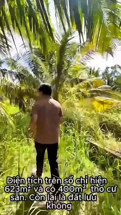 Đất Vườn Phú Quốc 1.117m² Giáp Suối, Sổ Đỏ Chính Chủ - Giá Tốt