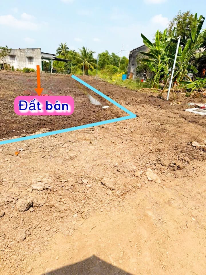 Đất nền Bến Lức Long An 1000m² - Sổ hồng riêng, Đất thổ cư 100%