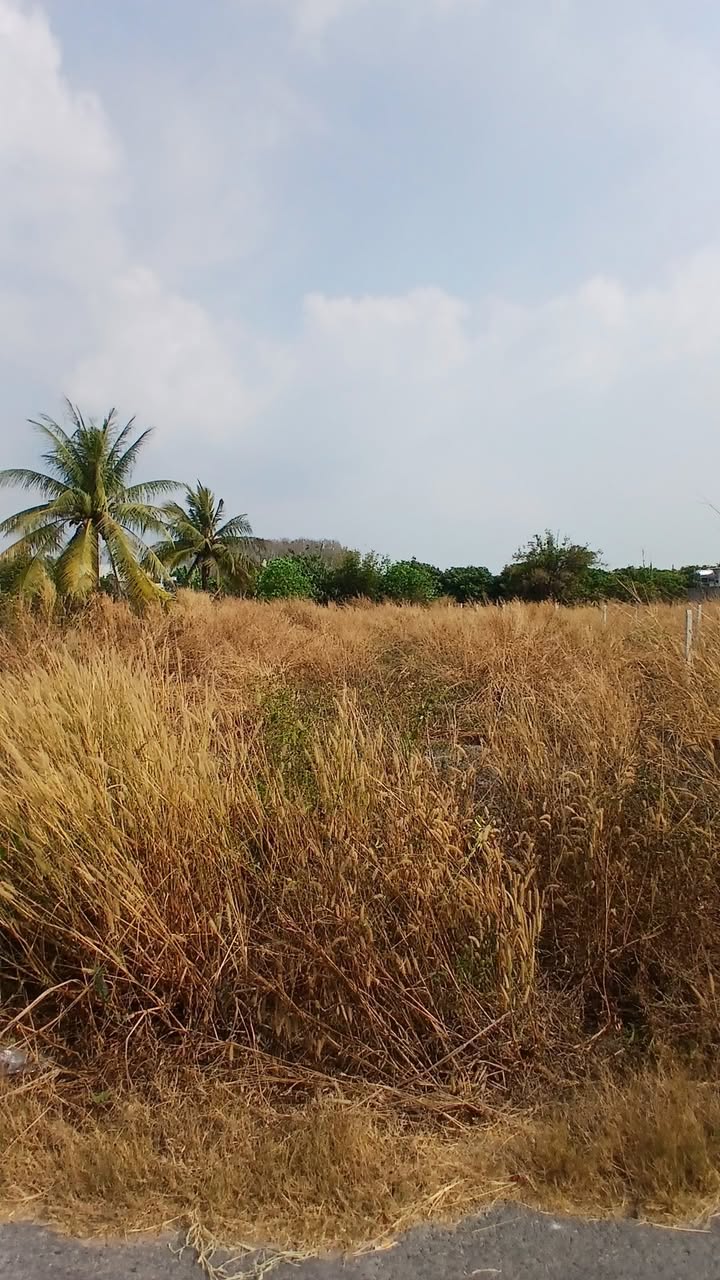 Bán Đất Mặt Tiền Trảng Dầu, Tây Ninh 250m² - Giá 600 Triệu