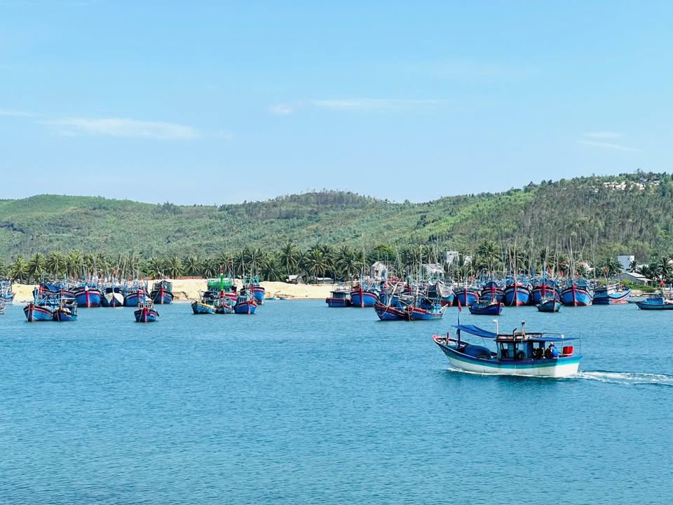 Đất nền Hoài Nhơn Bắc 126m² - Đón đầu sóng hạ tầng, tiềm năng tăng giá!