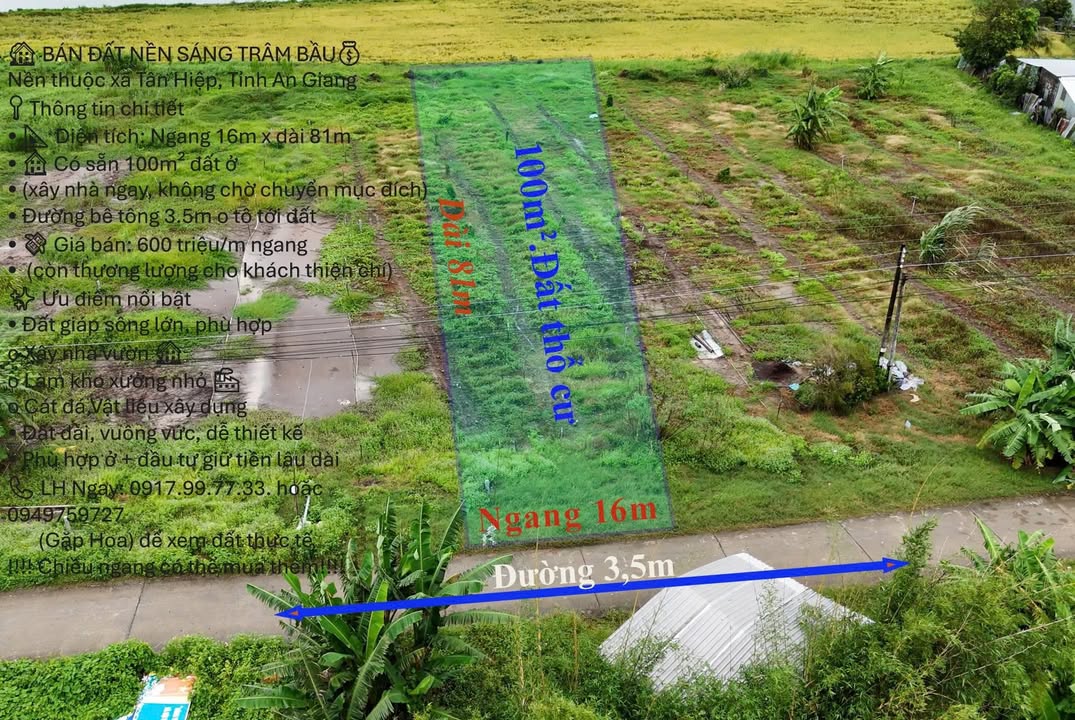 Đất nền Tân Hiệp, Kiên Giang 1296m² - Giáp sông lớn, tiềm năng đầu tư!