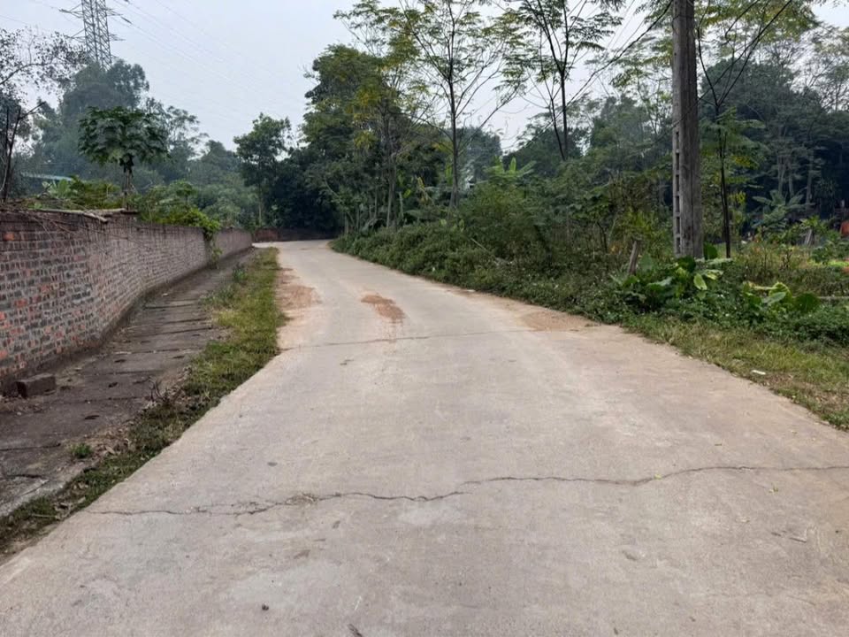 Đất nền 150m² Việt Trì - Sổ hồng thổ cư, giá dưới 2 tỷ