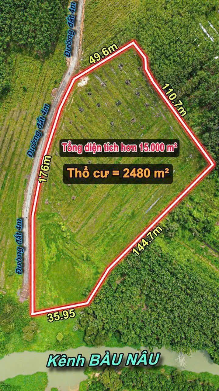 Đất Vàng 15.000m² Mặt Tiền KCN Thạnh Đức, Gò Dầu - Sổ Đỏ 2480m² Thổ Cư