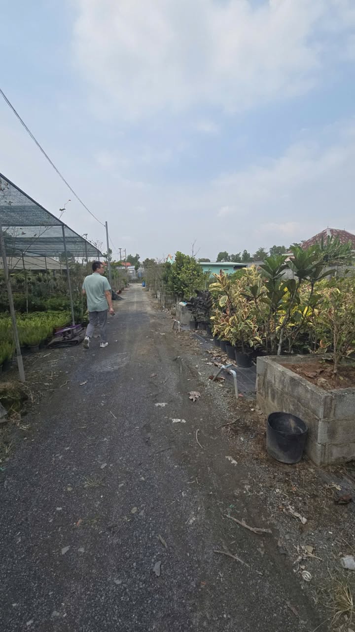 Bán Đất Vườn 5477m² Hòa Phú, Củ Chi - Sổ Đỏ, 1000m² Thổ Cư