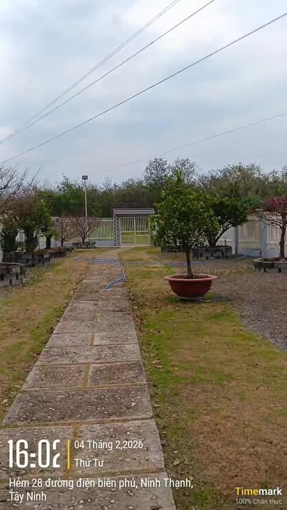 Đất Vườn Ninh Thạnh 1200m² – Nghỉ Dưỡng Lý Tưởng, Sổ Hồng Sẵn