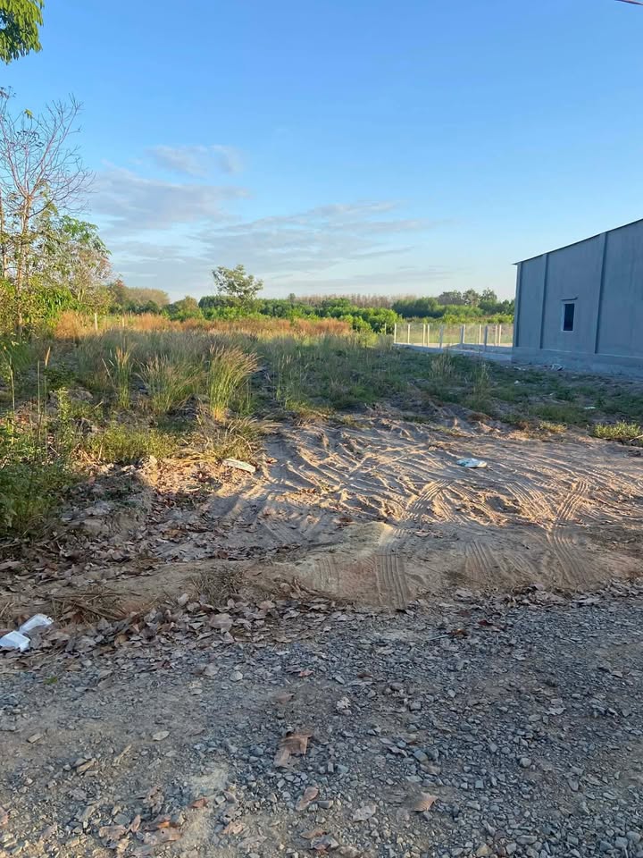 Đất nền Tân Hiệp Tân Châu 200m² giá 260 triệu - Tiềm năng tăng giá!