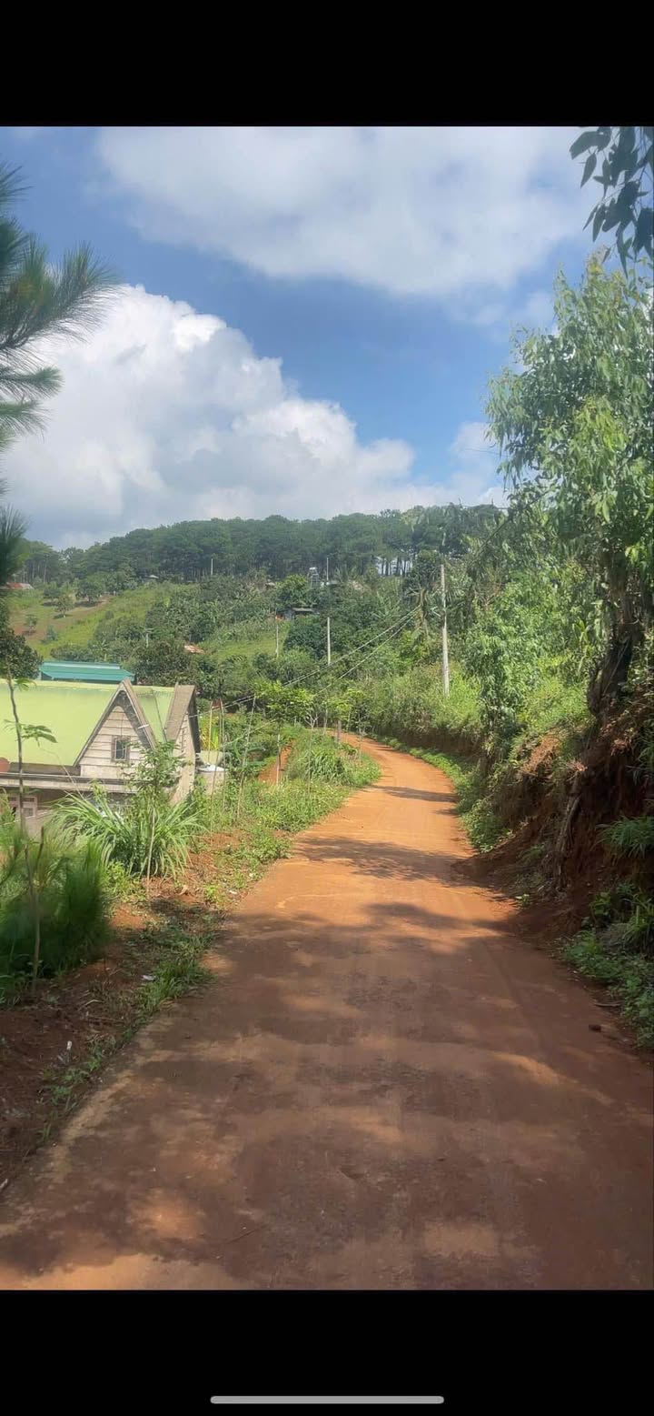 Đất Nền Yên Bình 281m² Sổ Hồng Riêng Tại Dran, Lâm Đồng - Giá Chỉ 720 Triệu