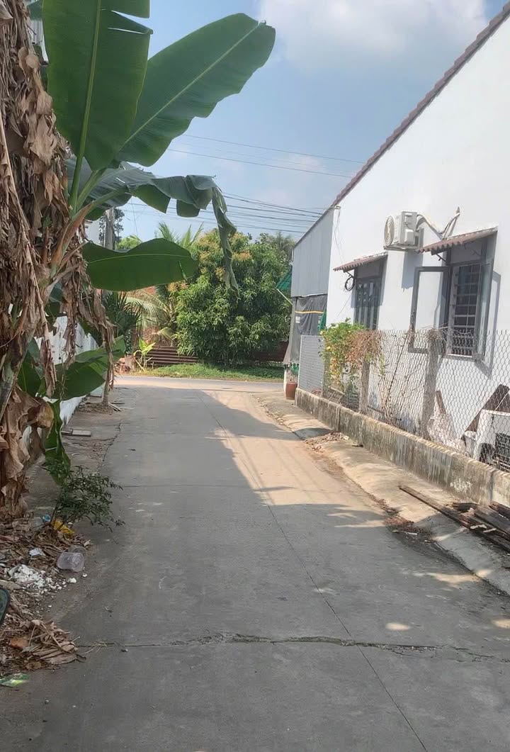 Đất nền Phường 3 TP Tây Ninh 100m² - Tiềm năng tăng giá vượt trội!