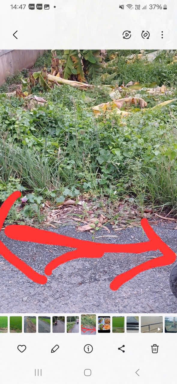 Đất nền Phú Thuận, Thoại Sơn 150m² - Tiềm năng tăng giá!