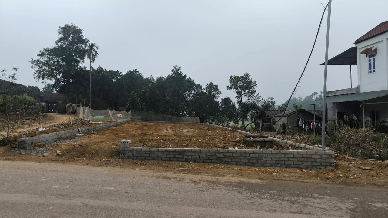 Đất Phượng Mao 285m² - Mặt tiền 10m, Giá 2 Tỷ - Kinh Doanh, Đầu Tư Lý Tưởng