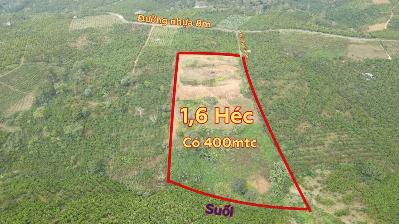 Đất nền Phú Nhuận 1.6ha - 10 tỷ - Sổ đỏ chính chủ, tiềm năng sinh lời!