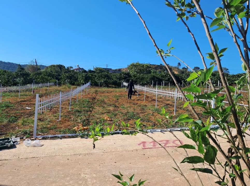 Đất Nền Nam Ban Đà Lạt 115m² - Sổ Sẵn, Giá Tốt 5 Tỷ