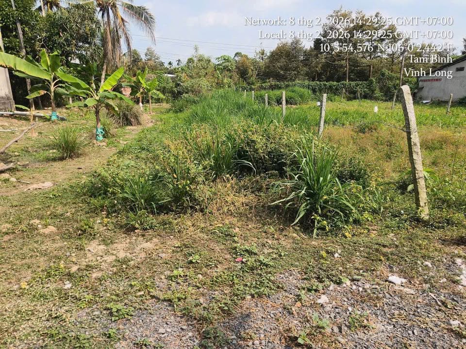 Đất Nền Tam Bình Vĩnh Long 140m² - Sổ Thổ Cư, Giá 260 Triệu