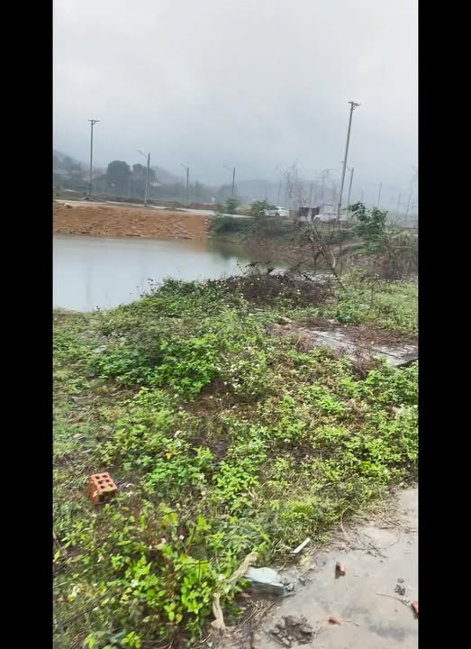 Biệt Thự Vườn Phủ Lý 336m² - Vị Trí Vàng, Giá Thỏa Thuận