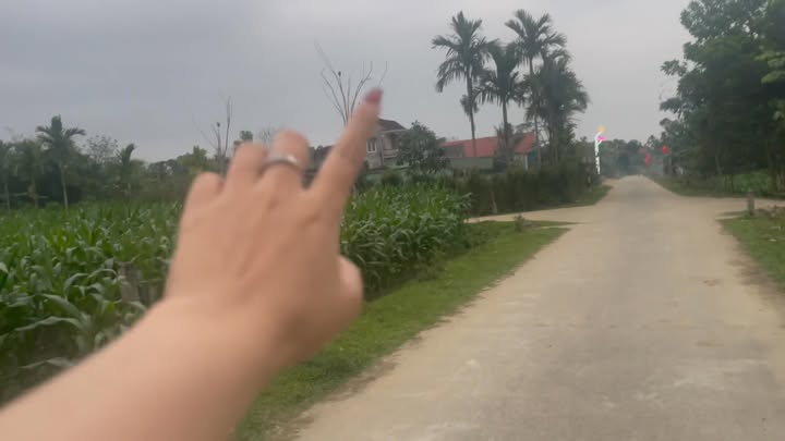 Đất Vườn Hương Sơn 784m² - View Sông Yên Bình, Sẵn Sàng Xây Nhà