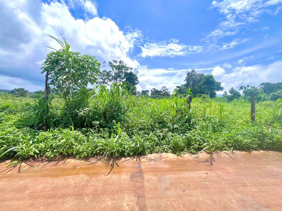 Đất nền Bùi Viện Quy Nhơn 200m² - Sổ đỏ đất ở, giá 4 tỷ