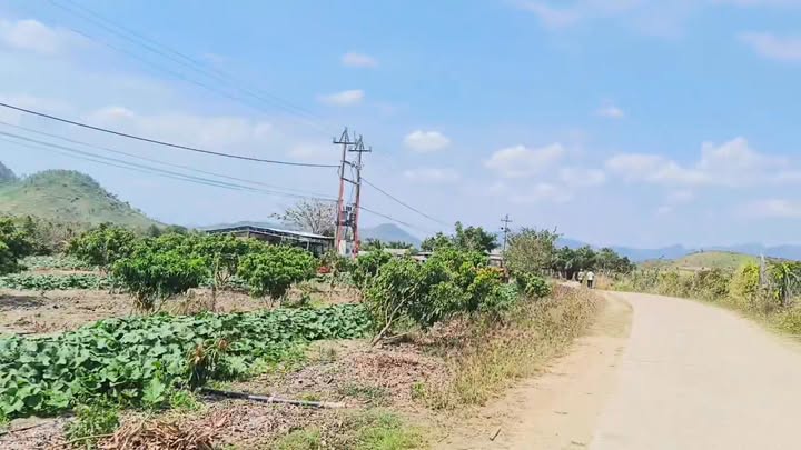 Đất Nông Nghiệp 16ha Xã Sơ Ró, Gia Lai - Sẵn Sàng Đầu Tư Sinh Lời