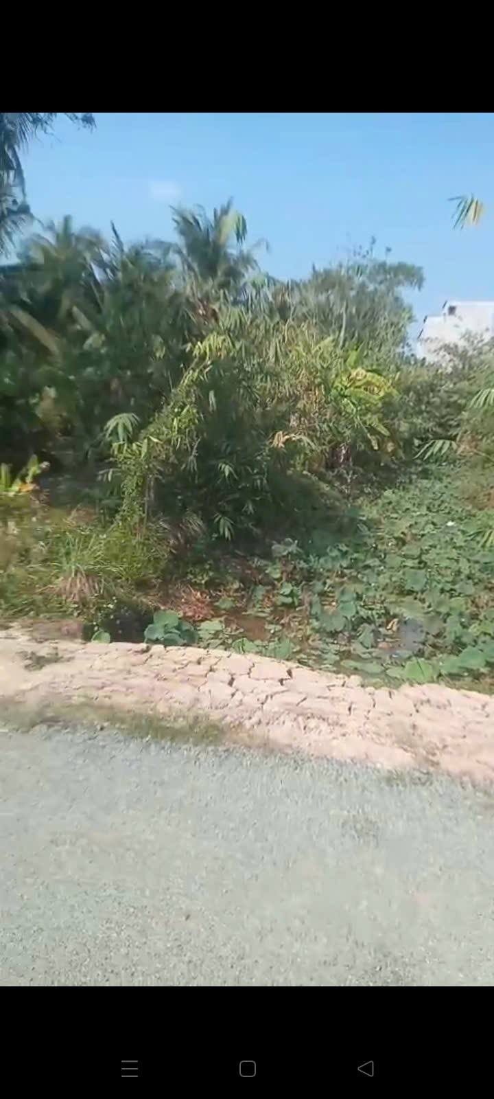 Đất nền 180m² xã Long Hòa, Phú Tân, An Giang - Sổ đỏ sẵn sàng giao dịch