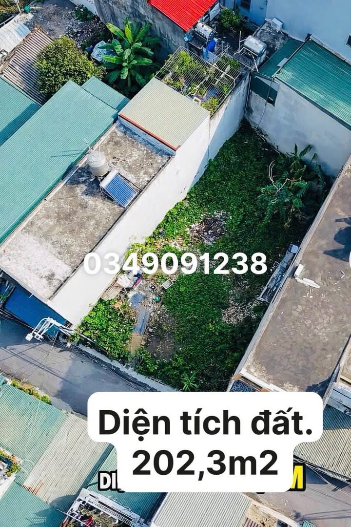 Bán Đất Vàng Lê Lai, TP Thanh Hóa - 202.3m² - Sổ Đỏ Chính Chủ