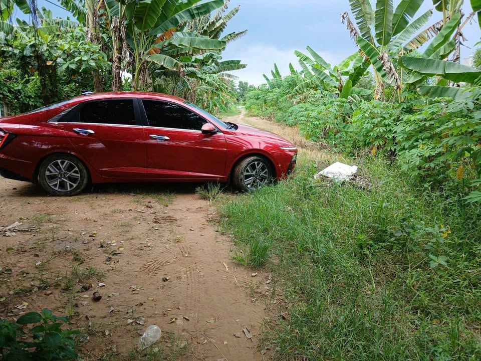 Bán Đất Vườn 3715m² Mặt Tiền 59m Phường 7, Trà Vinh - Giá 1.5 Tỷ