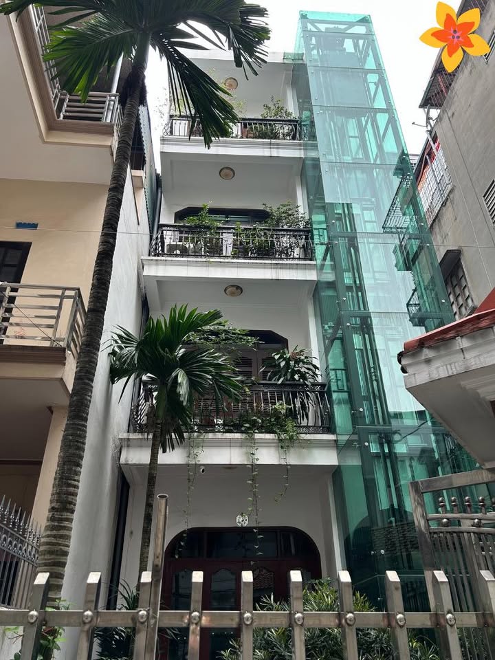 Nhà riêng Phố Bạch Mai 43m² - Sẵn sàng ở ngay đón Tết!