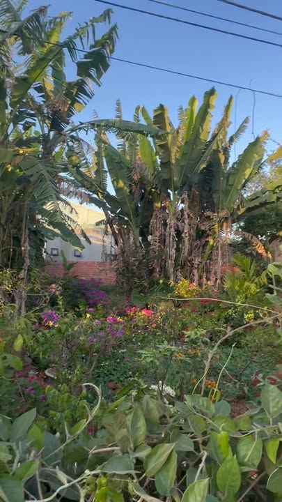 Bán Gấp Đất Nền Mặt Tiền Cao Bá Quát, Chư Sê - 94.5m² Thổ Cư, Giá 900 Triệu