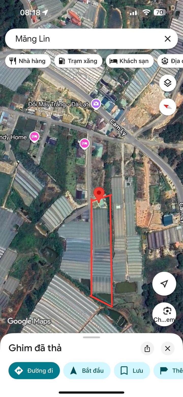 Đất Vườn Phường 5 Đà Lạt 5000m² - View Thiên Nhiên Tuyệt Đẹp