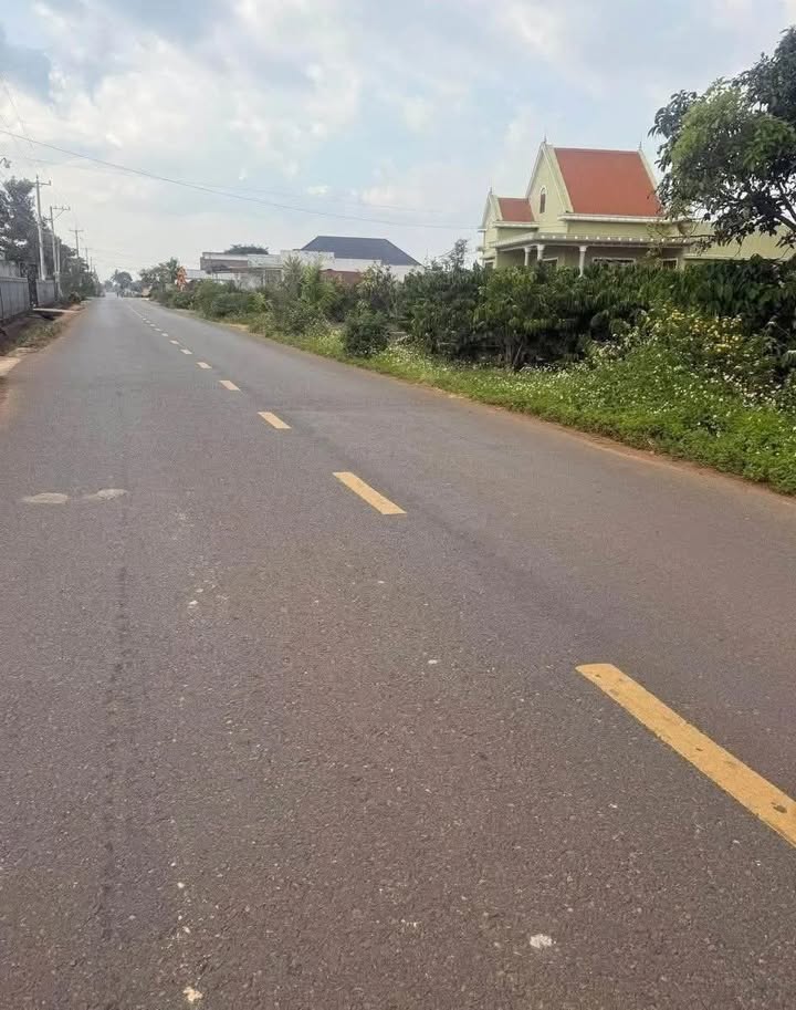 Đất nền Đức Trọng 1000m² đường DH3 - Sổ đỏ chính chủ!