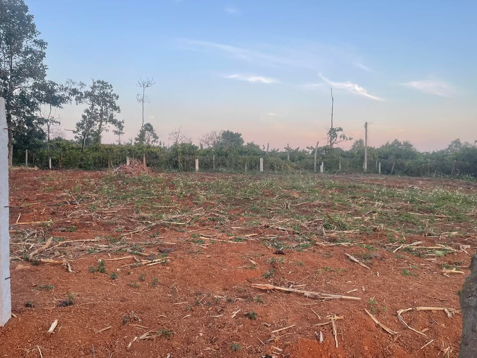 Đất nền Tân Hòa Buôn Ma Thuột 130m² 290 triệu - Sổ đỏ chính chủ