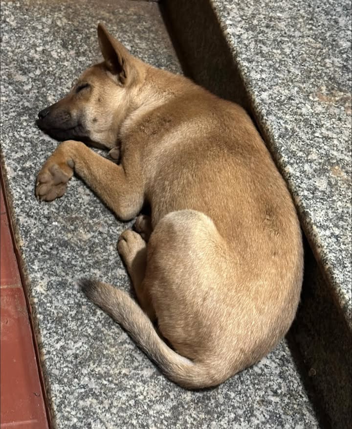 Đất nền Thị trấn Phước An 175m² giá 2 tỷ - Tiềm năng tăng giá vượt trội!