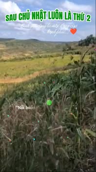 Bán Đất Vườn 10.000m² Xã Quảng Thành, Châu Đức - View Hồ Lớn, Giá 6.5 Tỷ