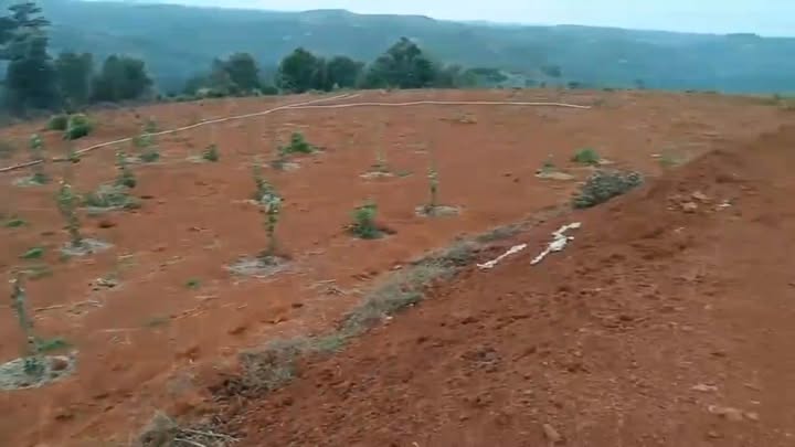 Bán Đất 500m² Xã Bình Trung, Châu Đức - Sổ Đỏ Vuông Vắn, Giá Tốt