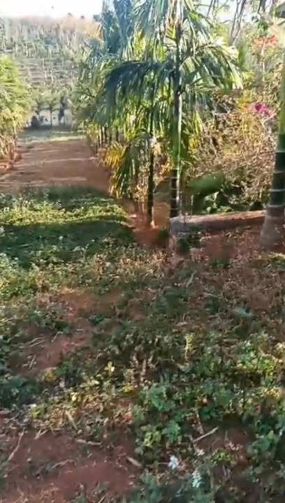 Đất Vườn Đắk Rung Đắk Song 2700m² 3 Tỷ - Nghỉ Dưỡng Lý Tưởng