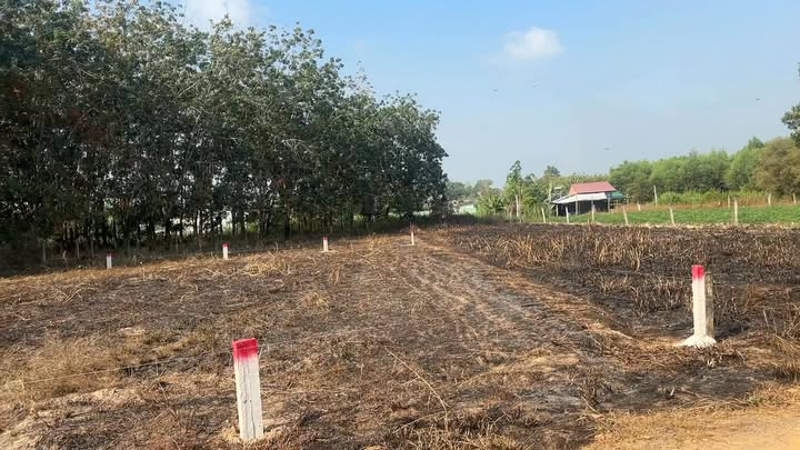 Bán đất Bến Cầu Tây Ninh 150m² 280 triệu - Đất thổ cư 100% giá rẻ!