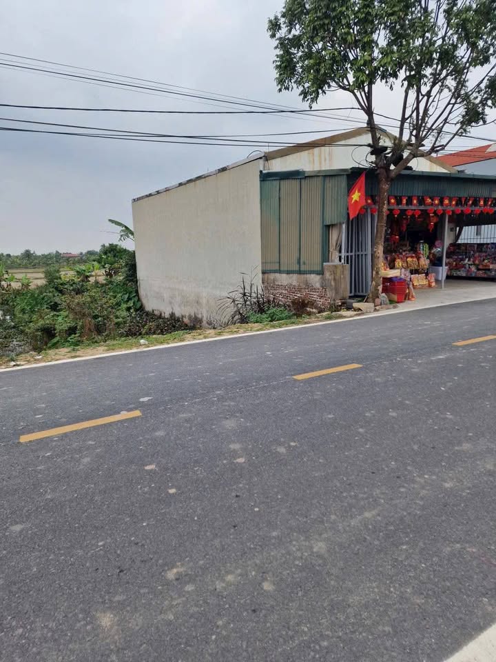 Đất nền Thanh Miện 140m² - Kinh doanh sầm uất, giá 2 tỷ