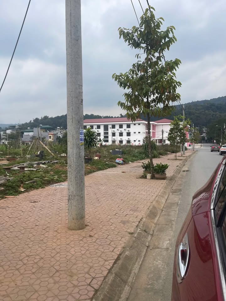 Đất nền Lào Cai 117m² 1.2 tỷ - Tiềm năng tăng giá vượt trội!