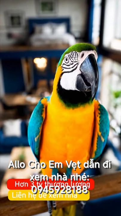 Nhà mặt ngõ Lê Chân 50m² từ 3 tỷ - Sổ hồng vuông vắn, vị trí đắc địa!