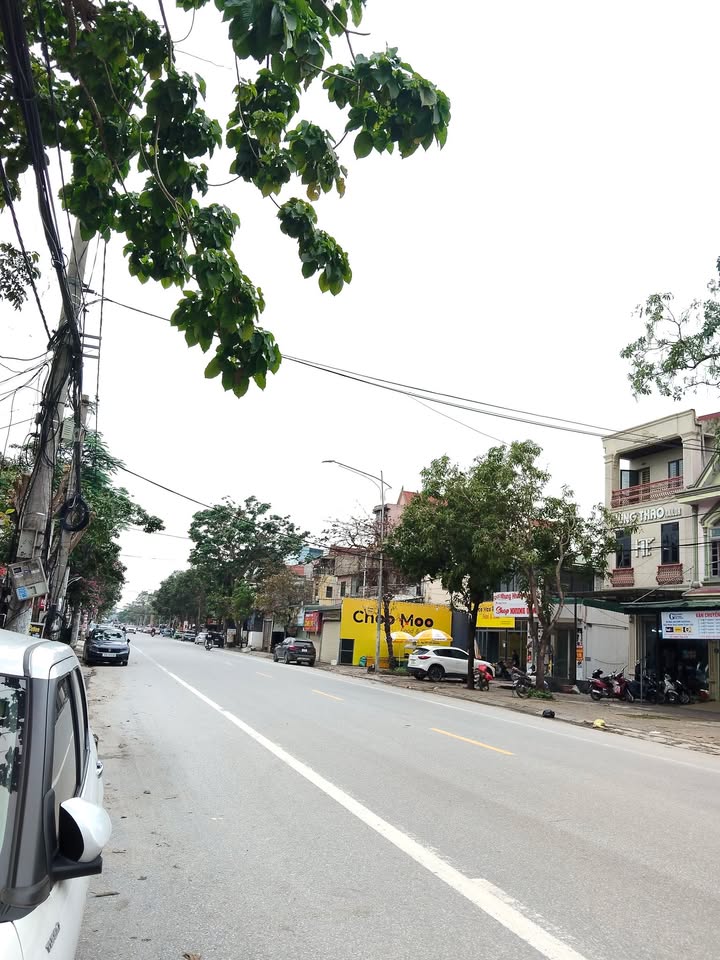 Mặt Tiền Nguyễn Thái Học 651m² - Siêu Phẩm Kinh Doanh Đỉnh Cao