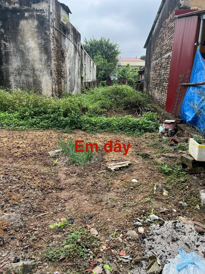 Đất nền Khoái Châu 147m² giá 3.23 tỷ - Sổ đỏ chính chủ xây tự do